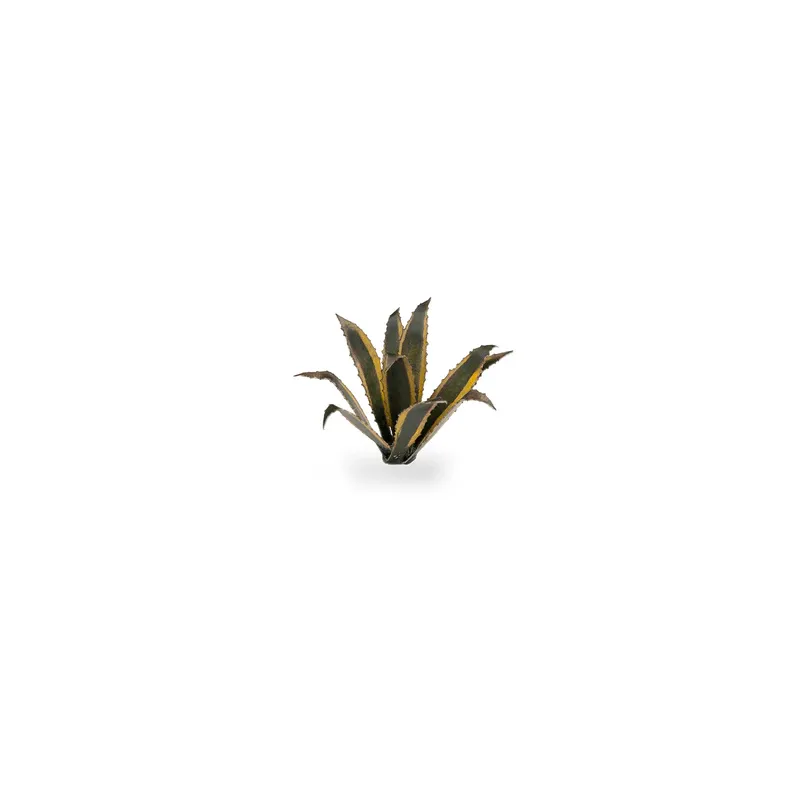 Agave - Gamers Grass - Image 3